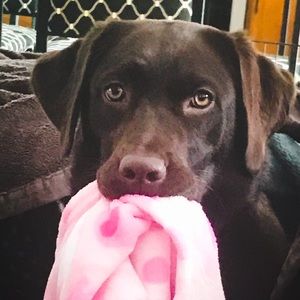 Meet your Posher, Becky